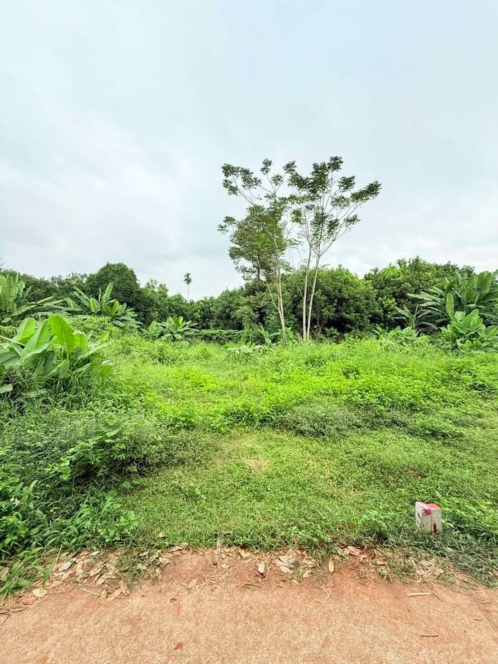 Đất nền Xuân Tân 105m² giá 750 triệu - Tiềm năng tăng giá mạnh!