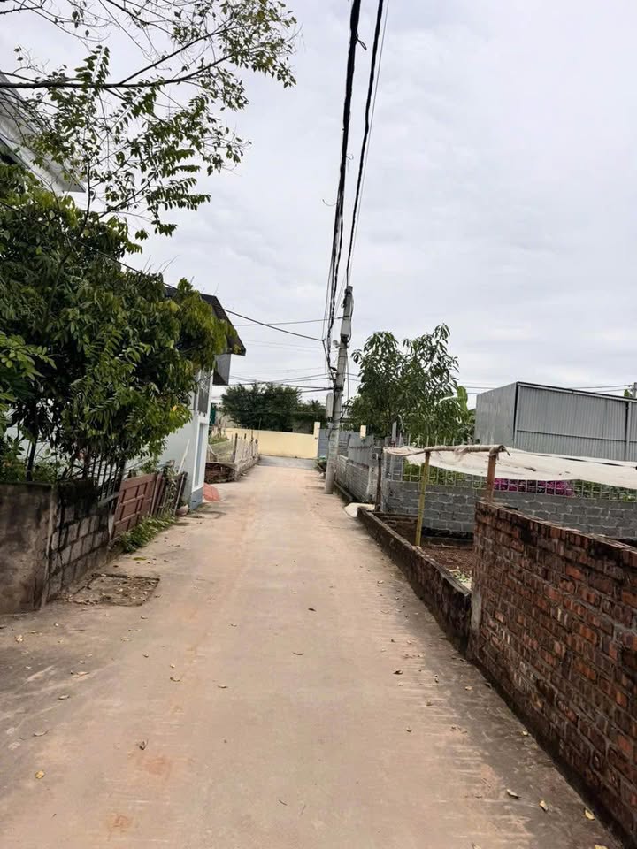 Đất nền Thư Dương, Thường Tín 50m² giá 3.09 tỷ - Đầu tư siêu đẹp!