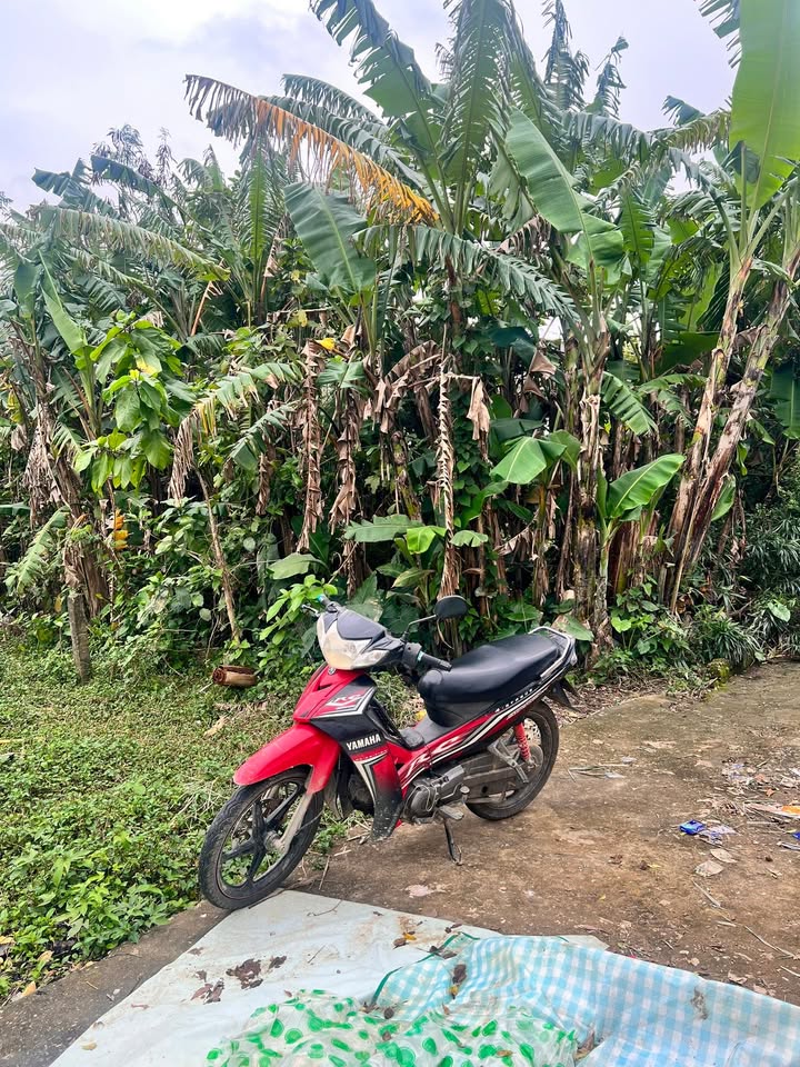 Đất ở thị trấn Nam Phước, Duy Xuyên 140m² giá chỉ 500 triệu - Sổ hồng chính chủ!