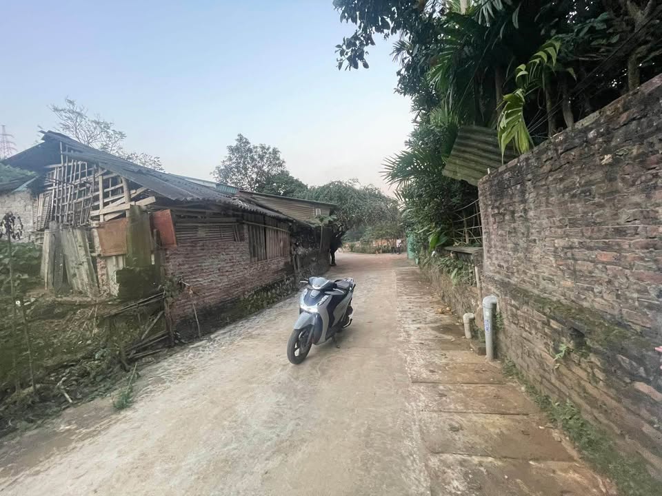 Đất vườn Tân Hòa Hòa Bình 146m² giá 700 triệu - Sổ đỏ chính chủ