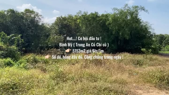 Đất nền xã Bình Mỹ, Củ Chi 5153m² giá chỉ 30.9 tỷ - Cơ hội đầu tư hiếm có!