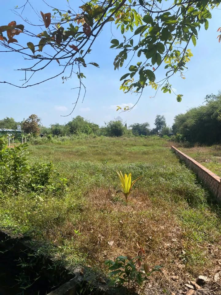 Đất nền Trung Lập Hạ, Củ Chi 1116m² - Giá thỏa thuận, vị trí đắc địa!