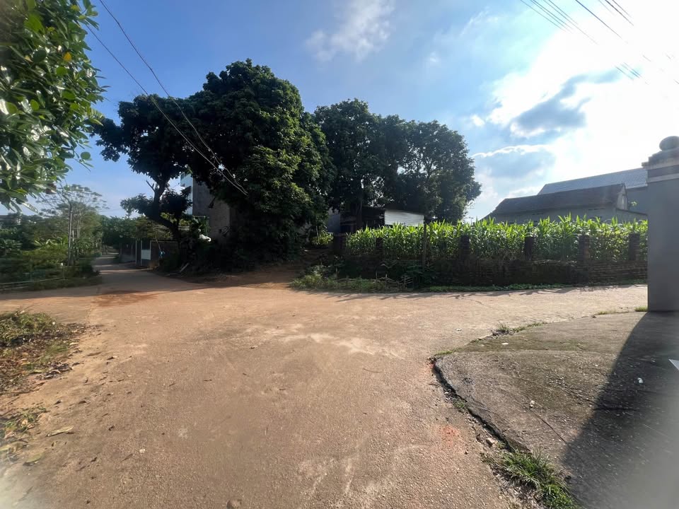 Đất nền Phượng Lâu, Việt Trì 92m² giá 1 tỷ - Tiện ích đầy đủ, an ninh tốt!