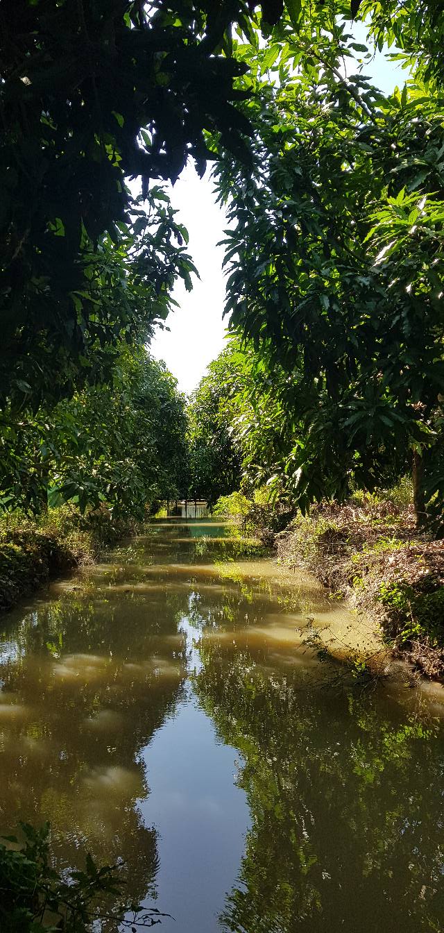 Đất vườn 2200m² tại phường Mỹ Thới, An Giang - Giá chỉ 2.15 tỷ VND, thương lượng!