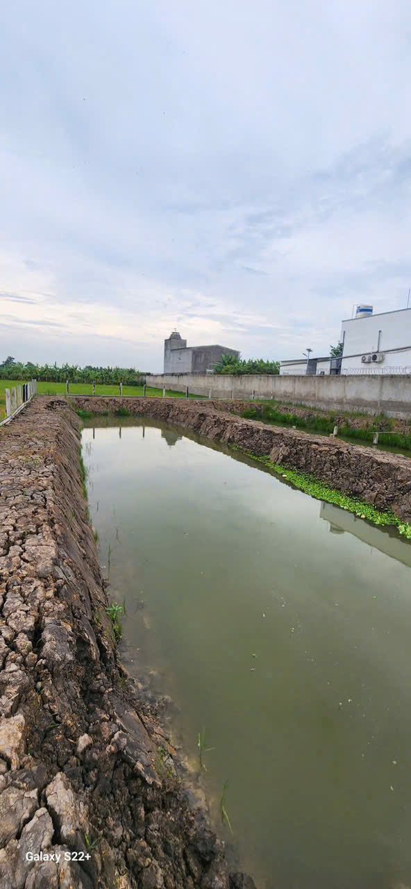 Đất nền Tây An Bờ Hồ, Long Xuyên 1003m² giá 1 tỷ - Đầu tư sinh lời ngay!