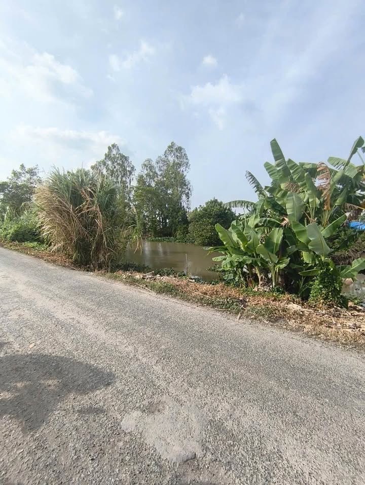 Đất nông nghiệp 40,000m² xã Vĩnh Phú, huyện Thoại Sơn - Sổ sẵn, giá chỉ 200 triệu!