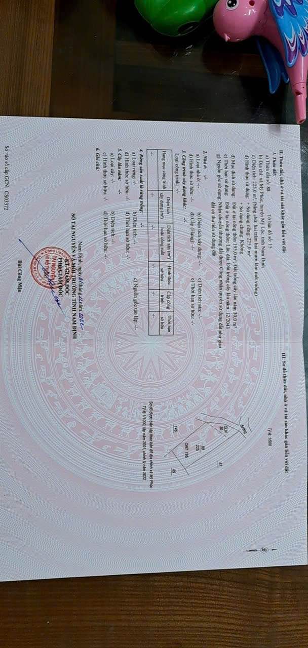 Đất ngõ ô tô Mỹ Phúc 225m² giá 2 tỷ - Chính chủ cần bán gấp!