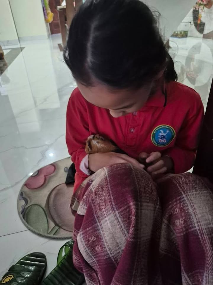 Đất nền thôn La Chợ, Mỹ Tiến 98m² giá 1.3 tỷ - Vị trí đẹp, không lỗi phong thủy!