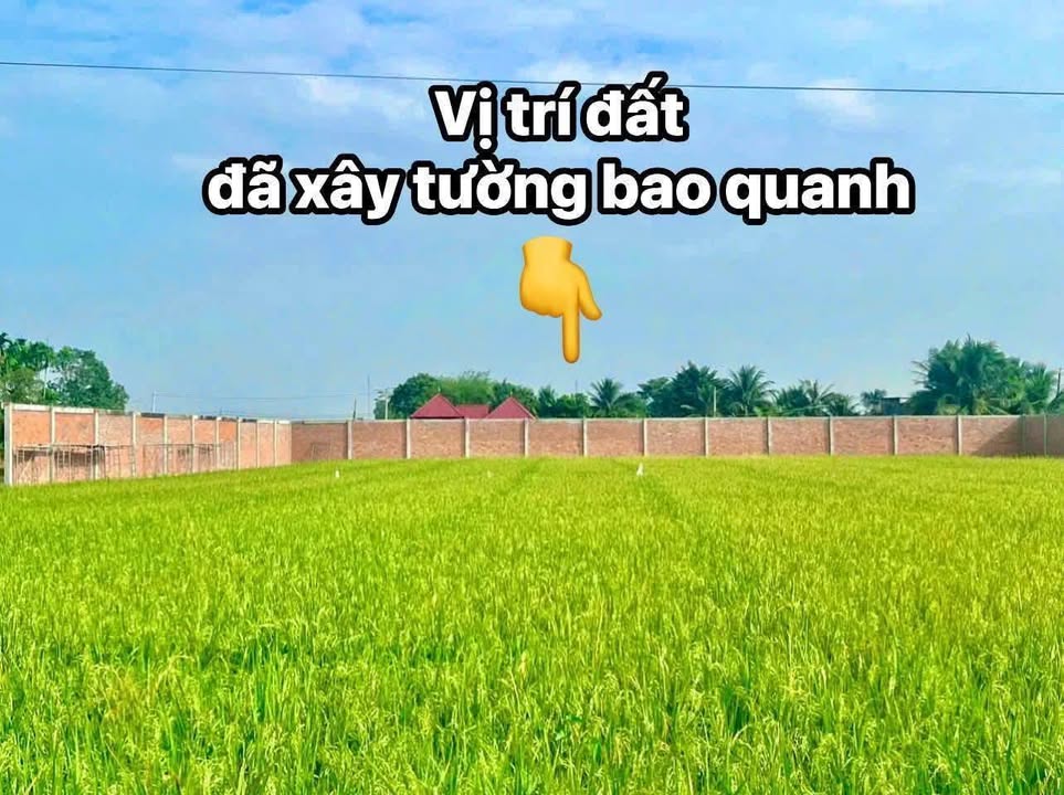 Đất đầu tư hoặc xây dựng 2315m² tại Bình Lợi - Giá 6 tỷ, sổ hồng chính chủ!