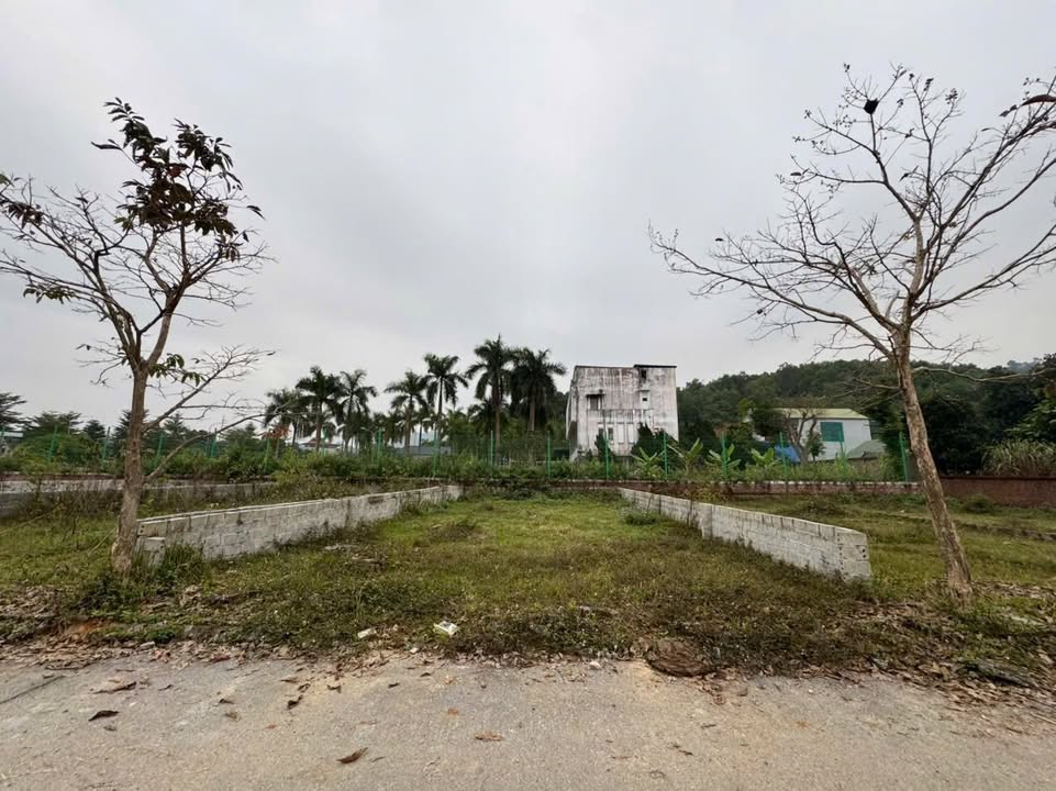 Đất nền thôn Miễu Tiến Xuân 148m² giá thỏa thuận - Mặt tiền 8m cực đẹp!