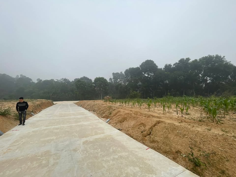 Đất thổ cư Âu Cơ, Phú Thọ 102m² - Gần trường học, giá chỉ 600 triệu!