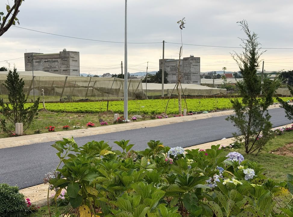 Đất nền Thạnh Mỹ Đơn Dương 105m² giá 630 triệu - Sổ hồng riêng, đầu tư ngay!