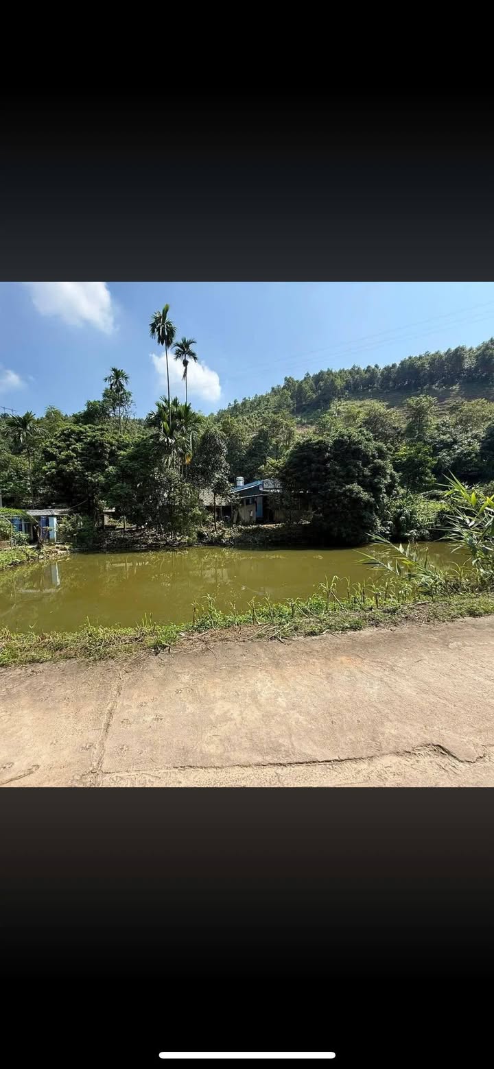 Trang trại Phú Nhuận 10.040m² giá 1.65 tỷ - Sẵn sàng vào ở!