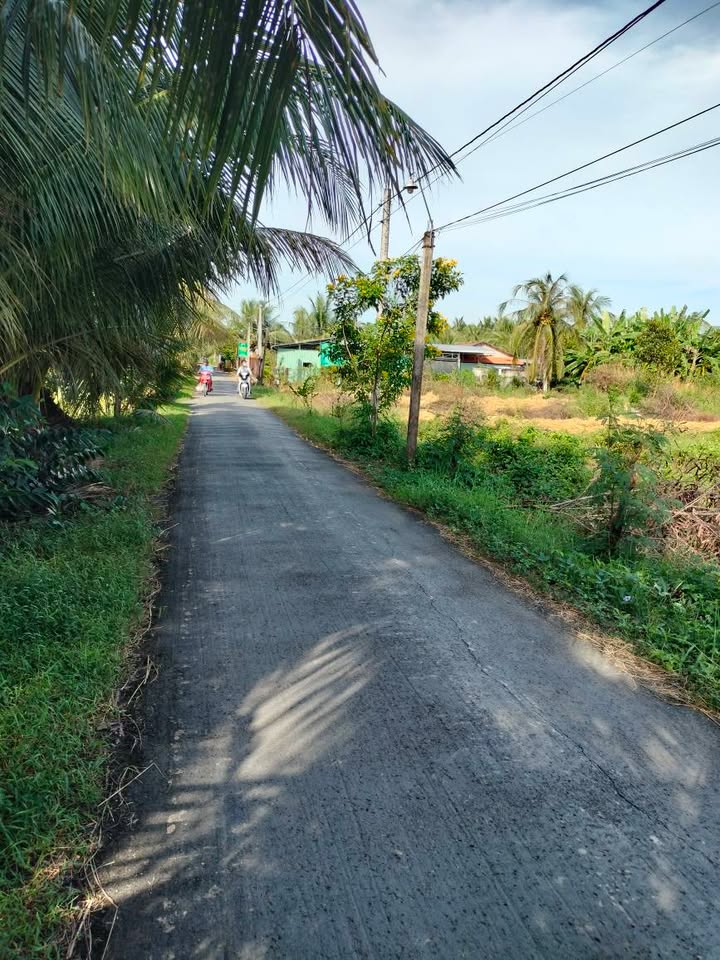 Đất thổ cư 132m² Tân Thạnh - Giá 450 triệu, chính chủ thương lượng!