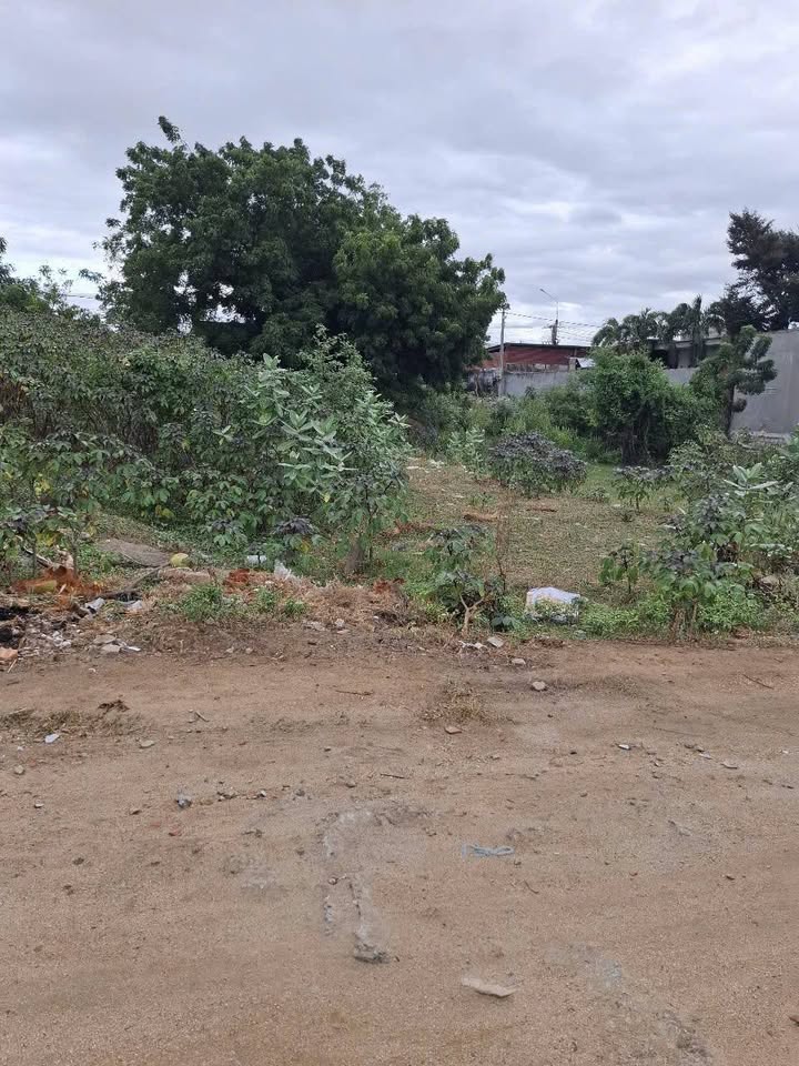 Đất nền chính chủ 150m² tại Ninh Phước - Giá chỉ 1 tỷ, thương lượng ngay!