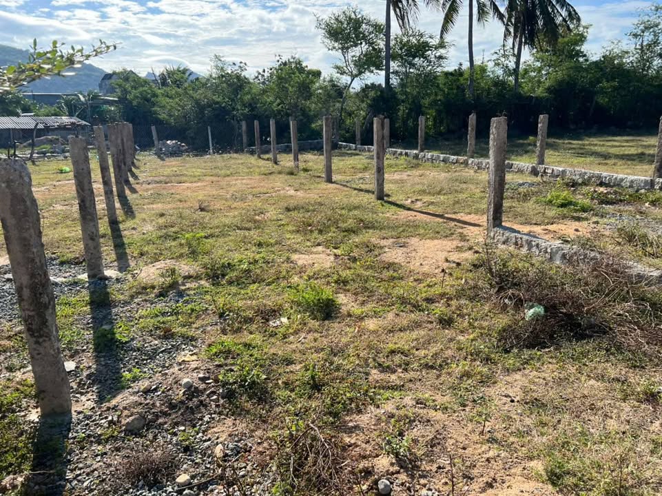 Đất thổ cư Hộ Hải, Ninh Hải 119m² giá chỉ 550 triệu - Đầu tư sinh lời ngay!