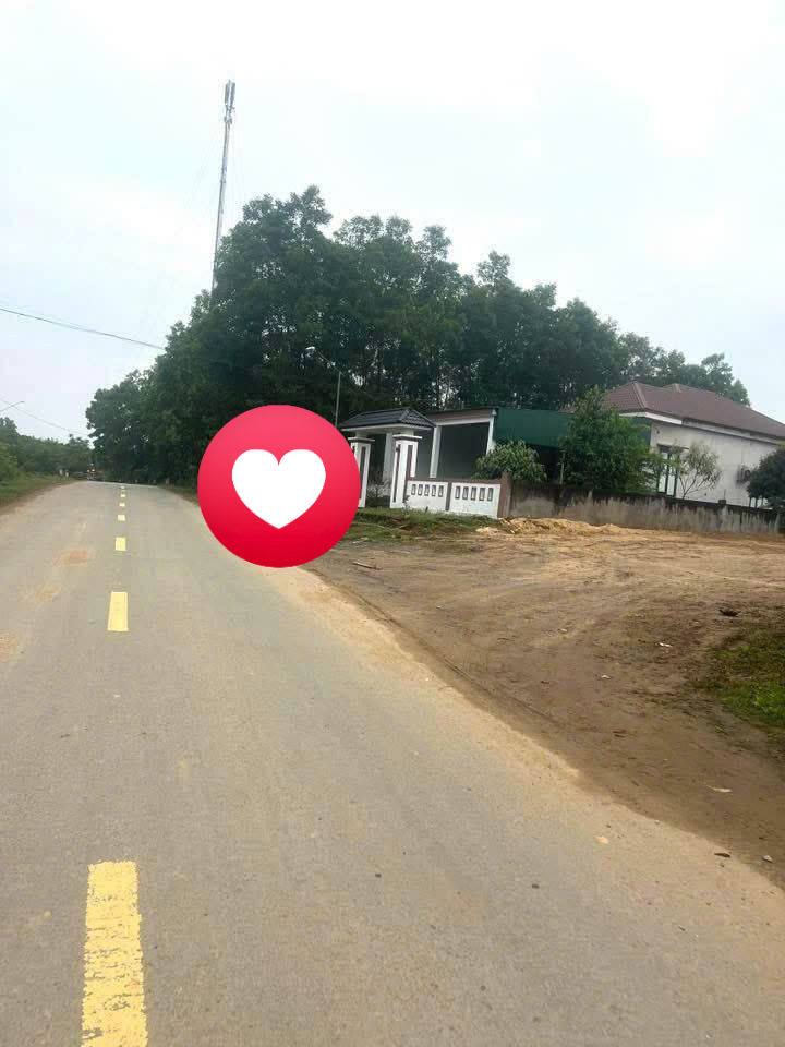 Đất thổ cư thôn Mỹ Tân, xã Kỳ Lạc, 300m² giá chỉ 600 triệu - Cơ hội đầu tư hấp dẫn!