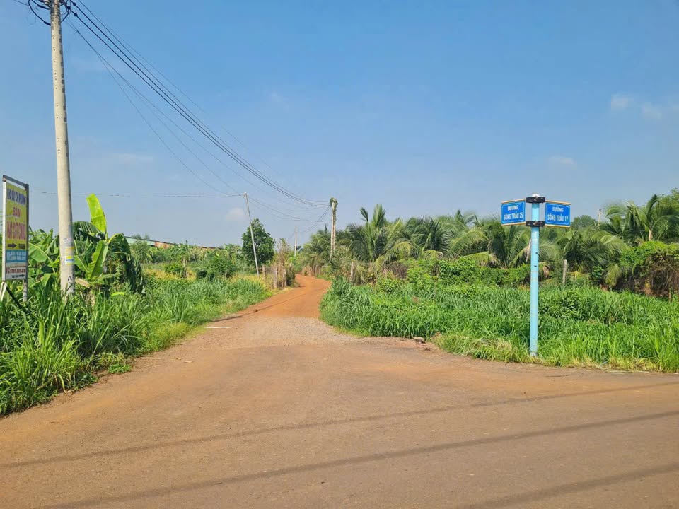 Đất thổ cư 300m² tại Sông Trầu, Trảng Bom - Cơ hội đầu tư hiếm có!