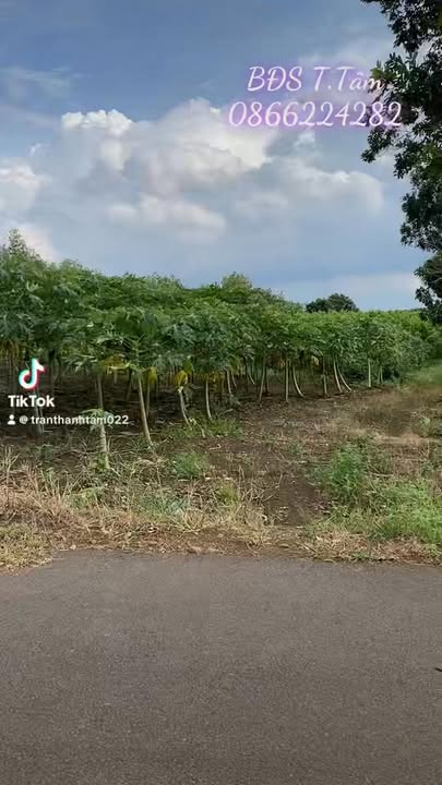 Đất 5 sào tại Xuân Sơn, Châu Đức, Bà Rịa - Vũng Tàu giá 2.35 tỷ - Đầu tư sinh lời ngay!