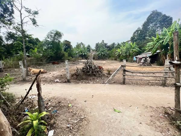 Đất mặt tiền đường Đan 680m² giá 350 triệu - Cơ hội đầu tư hấp dẫn!