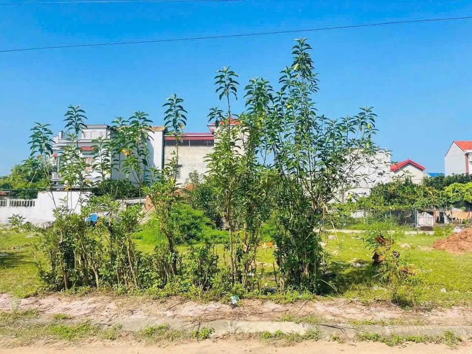 Đất đấu giá Cao Thành, 100m² giá chỉ 3 tỷ - Đầu tư sinh lời ngay!