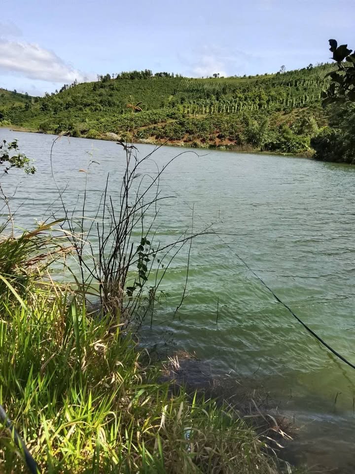 Đất nền 1.5ha tại Đắk Ha, Đắk Glong giá 2.3 tỷ - Cơ hội đầu tư sinh lời!