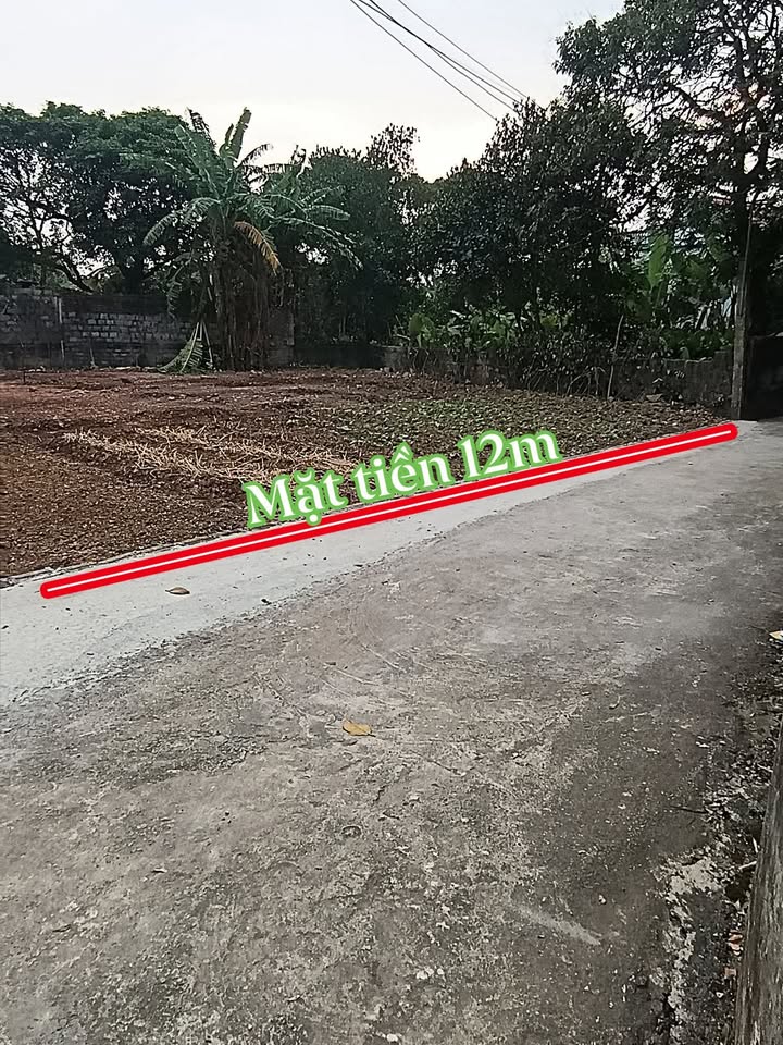 Đất thổ cư An Tiến, Bình Lục 248m² giá 800 triệu - Chính chủ bán gấp!