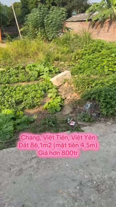 Đất thổ cư thôn Chàng, Việt Tiến 86m² giá 800 triệu - Sổ đỏ chính chủ!