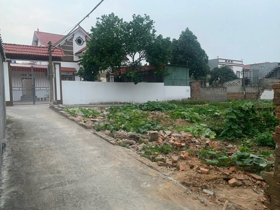 Đất nền Thượng Đức Giang Yên Dũng 110m² giá tốt - Đường ô tô vào tận nơi!