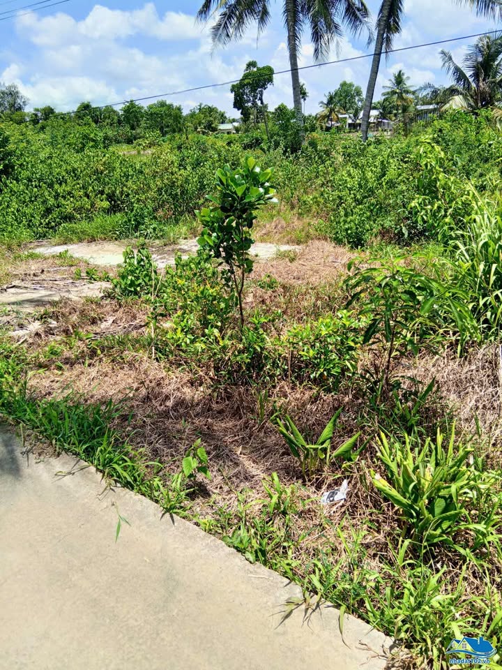 Đất ruộng 1.823m² mặt tiền kênh Huyện Đội - Châu Thành, An Giang giá chỉ 800 triệu!