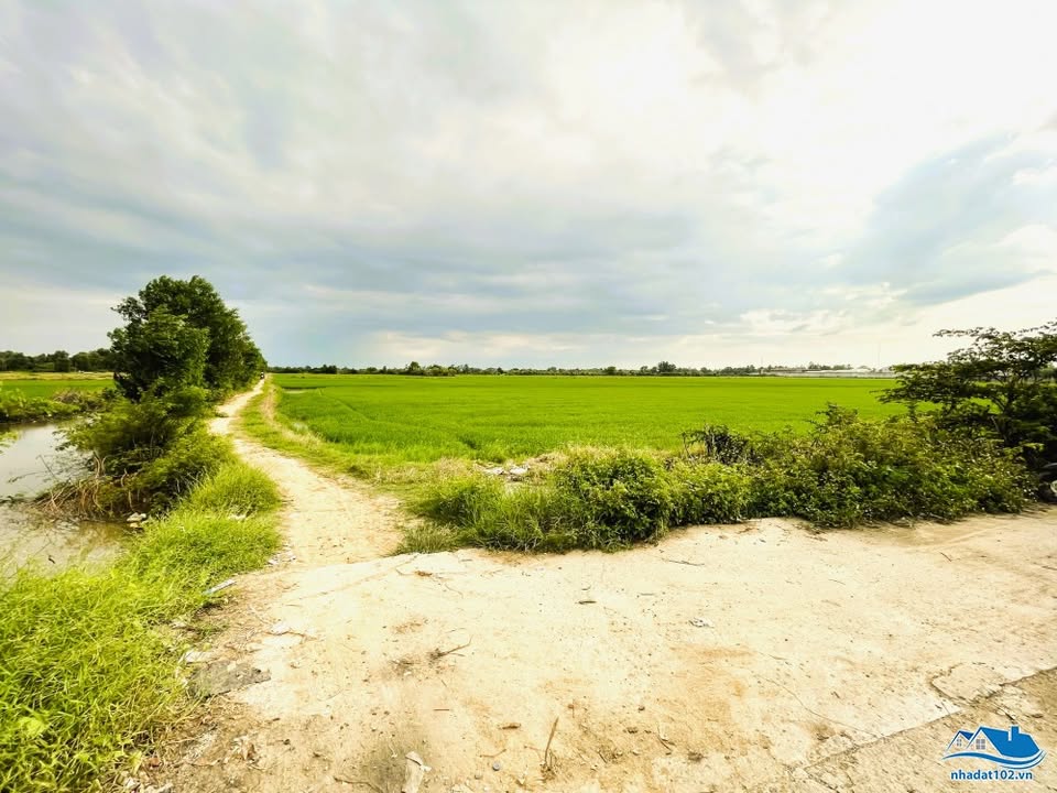 Đất nền 2.000m² tại Rạch Giá - Giá chỉ 2,8 tỷ - Tiềm năng đầu tư lớn!