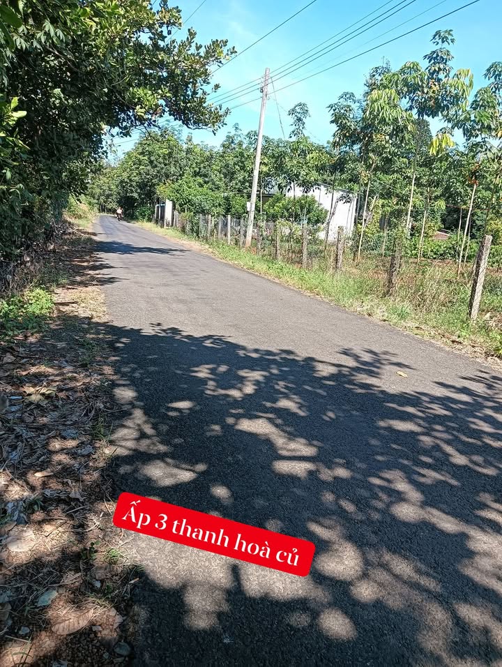 Đất thổ cư 10m² tại ấp 3, xã Thanh Hoà, Bù Đốp - Giá chỉ 320 triệu!