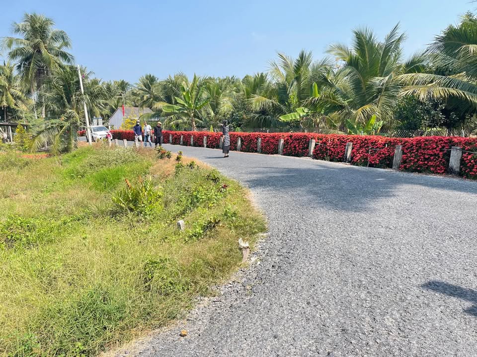 Đất nền đẹp tại Bình Ninh, Tam Bình, Vĩnh Long 140m² giá chỉ 200 triệu - Đầu tư sinh lời ngay!