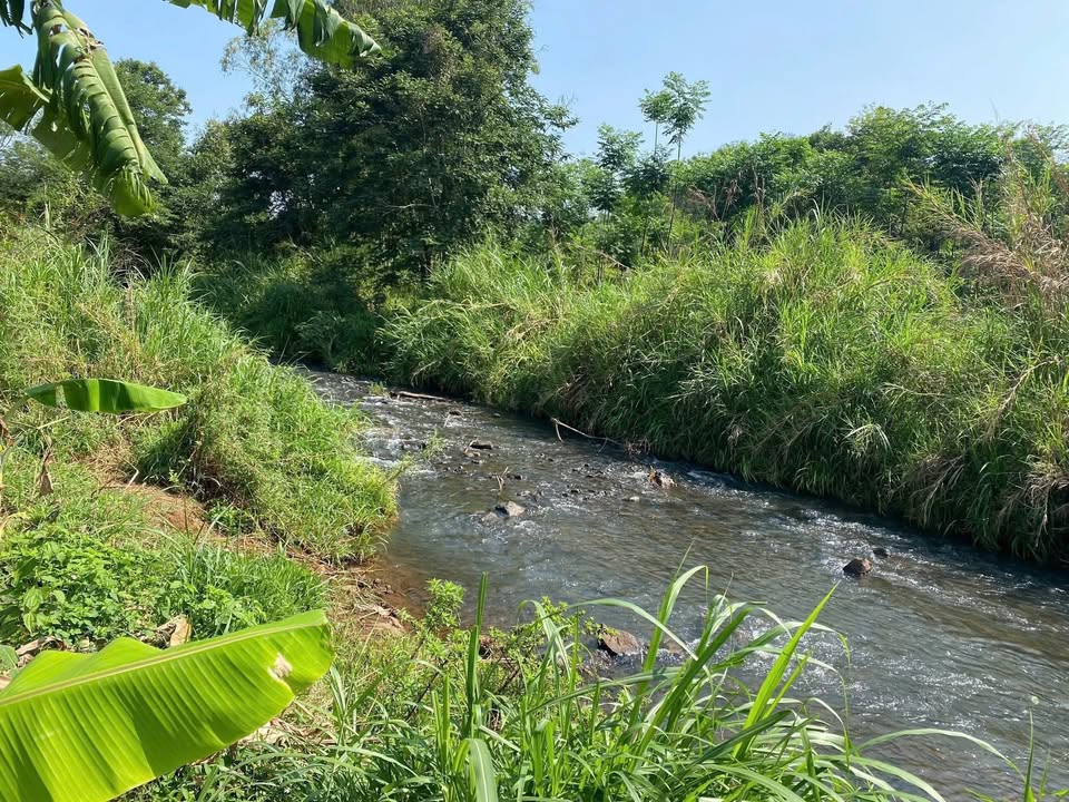 Đất Farm Ea Blang, Buôn Hồ 7000m² giá 1.6 tỷ - Đầu tư sinh lời ngay!