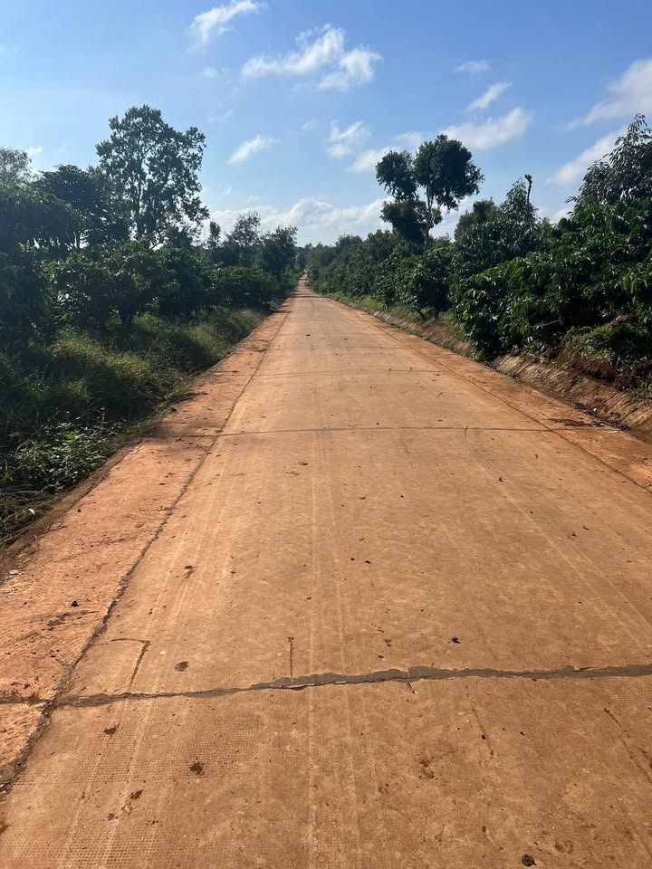 Đất rẫy 4 sao 8 tại Buôn Hồ Đắk Lắk giá chỉ 1.88 tỷ - Mặt tiền đường bê tông