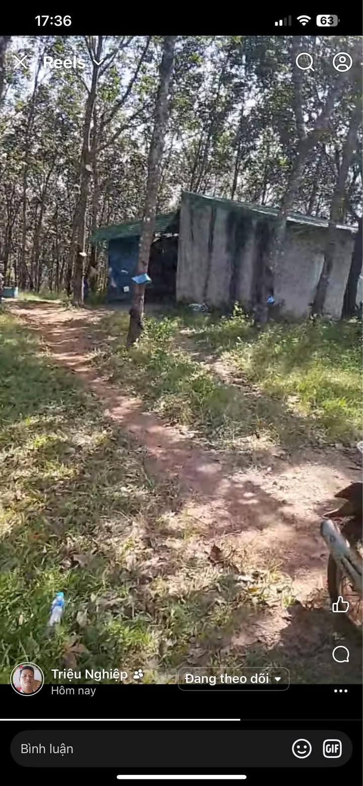 Farm 4ha tại Ea Tir, Ea H'leo giá 3.7 tỷ - Đầu tư sinh lời ngay!