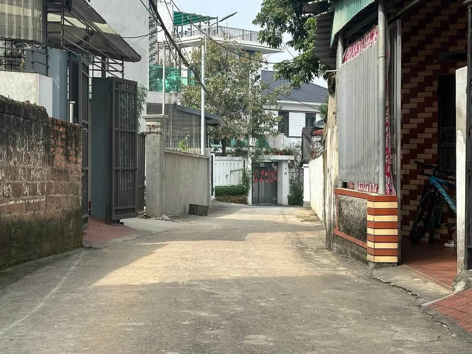 Đất liền kề Nông Trang, Việt Trì 156m² giá 2.4 tỷ - Vị trí đắc địa, dễ kinh doanh!