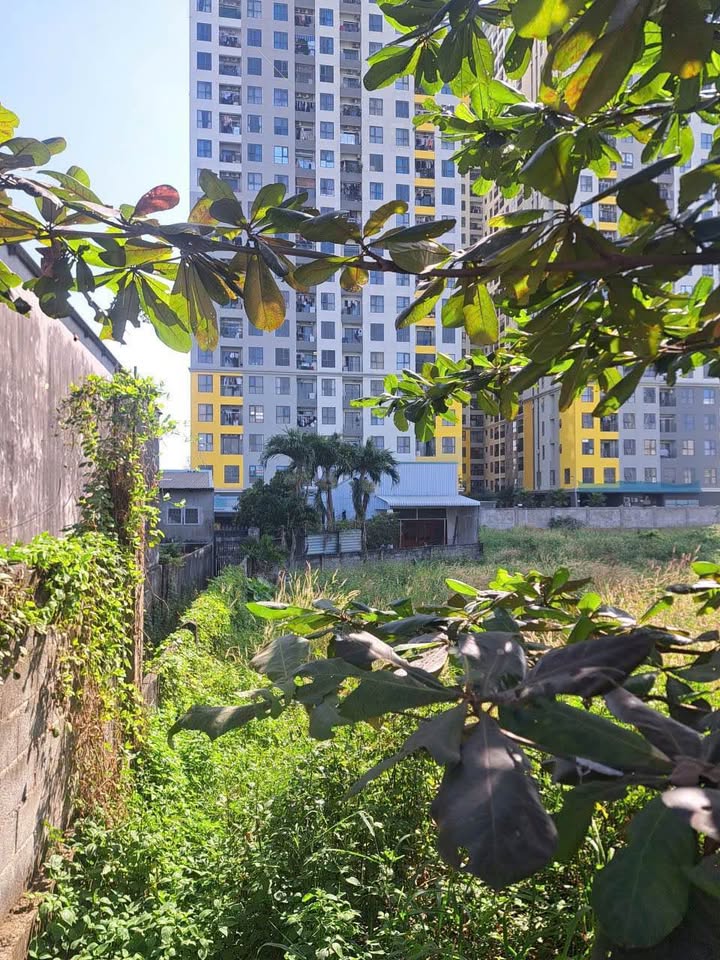 Nhà cấp 4 mặt tiền Quốc Lộ 1K, Dĩ An 484m² giá 12.8 tỷ - Đầu tư sinh lời ngay!