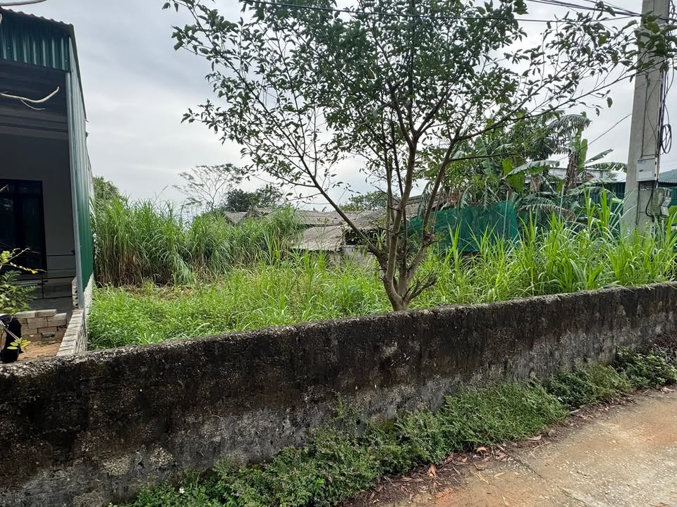 Đất ở Đô Thị TDP Đại Đồng, Trúc Lâm, Thanh Hóa 380m² chỉ 380 triệu - Cơ hội vàng cho nhà vườn!