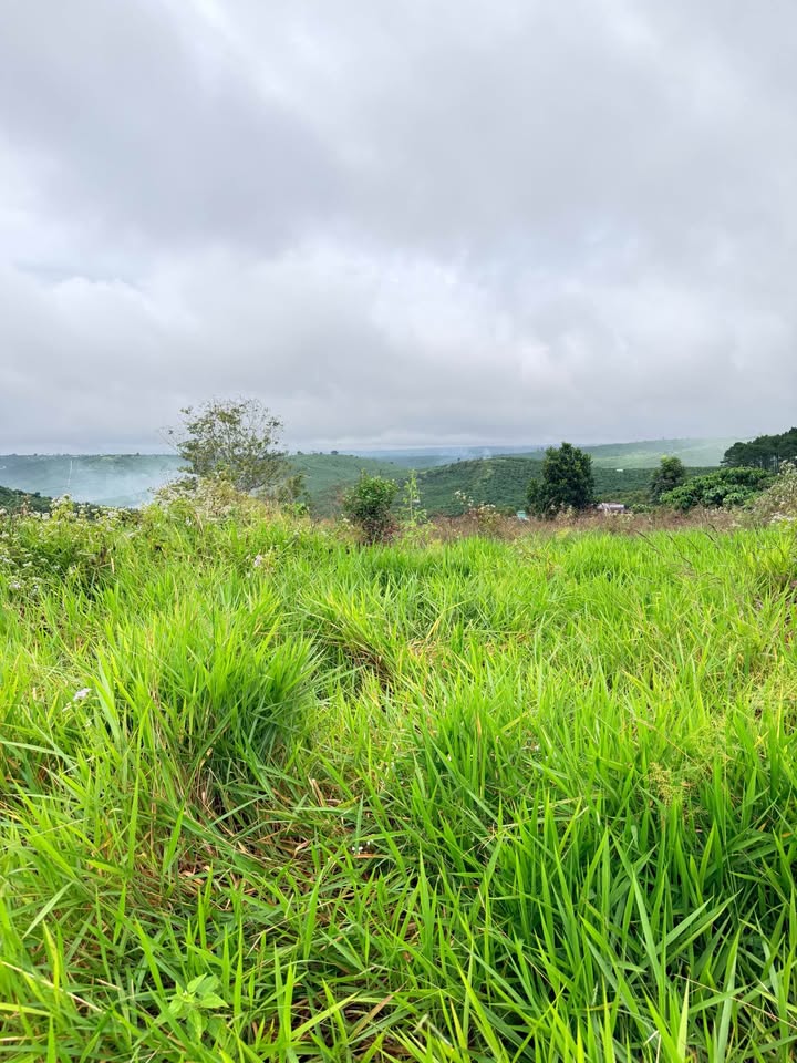 Đất mặt tiền đường DT725, thôn 13 Lộc Ngãi, 617.4m² - Giá chỉ 1.5 tỷ, thương lượng tốt!