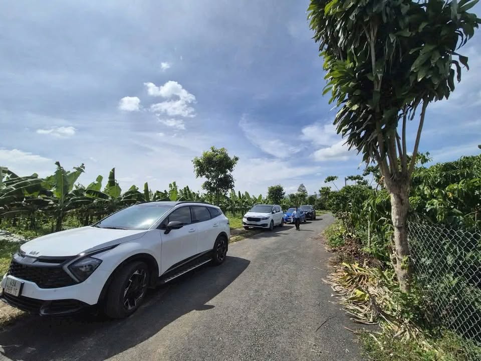 Đất nền thổ cư 100m² tại Tân Lạc - Chỉ 430 triệu, cơ hội đầu tư tốt!