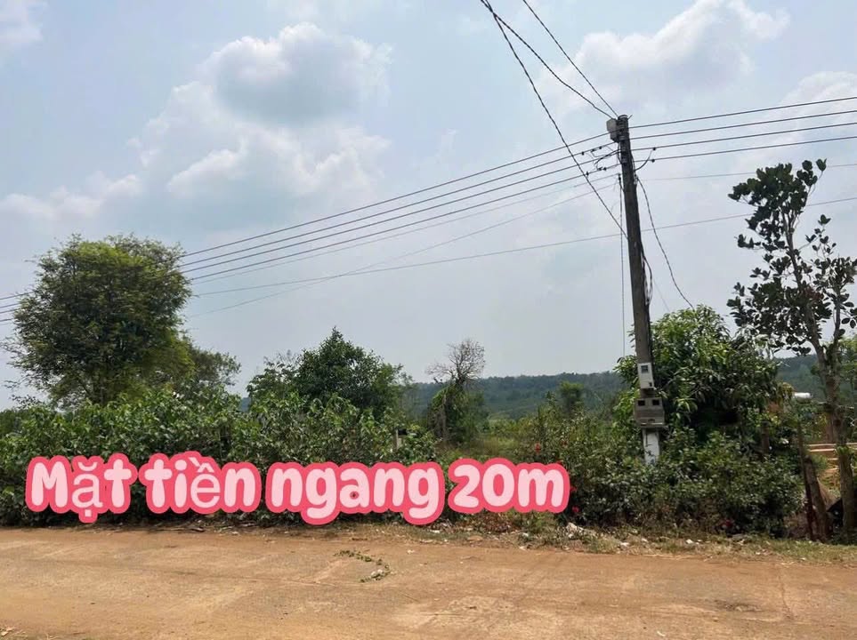 Đất nền Ea Siên Buôn Hồ 1000m² giá 750 triệu - Sổ đỏ chính chủ, đầu tư sinh lời!