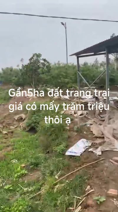 Đất trang trại 5ha tại Nam Hà, Tiền Hải giá chỉ 300 triệu - Cơ hội đầu tư lý tưởng!