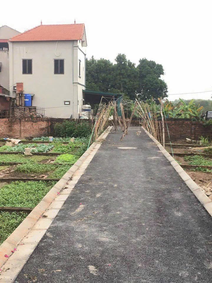 Đất nền Đa Tốn - Gia Lâm 41m² giá 3.6 tỷ - Vị trí vàng giữa Ecopark và Vinhomes Ocean Park!