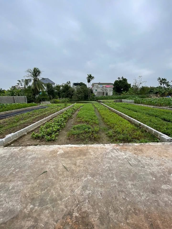 Đất nền Chương Dương, 85m² giá 3.1 tỷ - Ô tô vào tận nơi