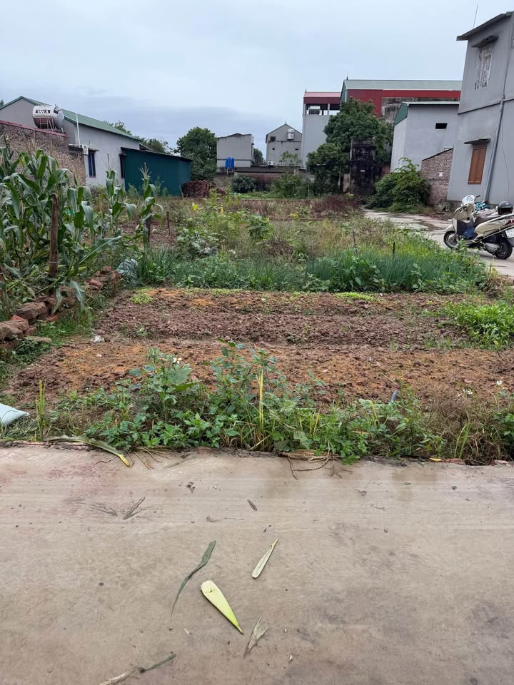 Đất nền An Bình, Thuận Thành, Bắc Ninh 50m² giá 1.6 tỷ - Sổ đỏ chính chủ, ô tô vào tận nơi!