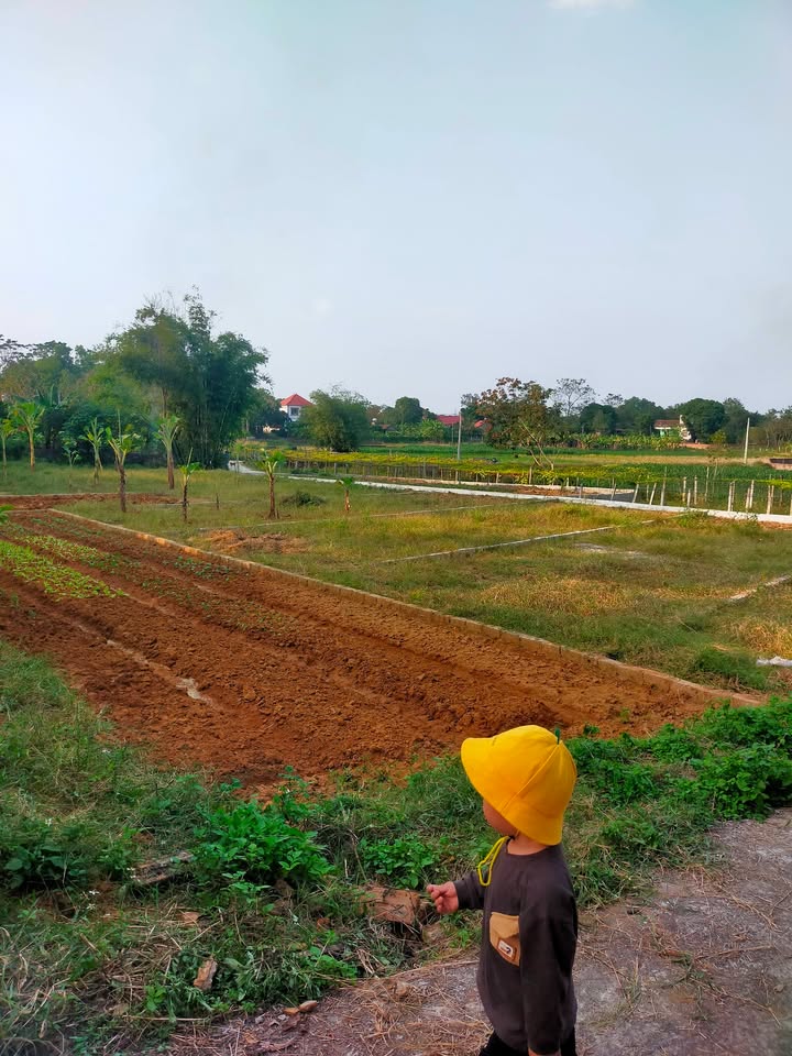 Đất nền Danh Thắng, Hiệp Hòa 105m² giá chỉ 600 triệu - Cơ hội đầu tư hấp dẫn!