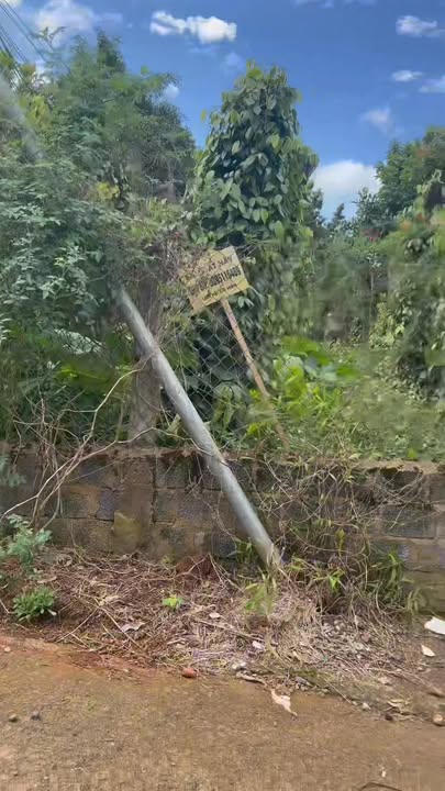 Lô đất 240m² tại thị trấn Ea Drăng, Đắk Lắk - Đường thông 2 đầu - Giá chỉ 1.59 tỷ!