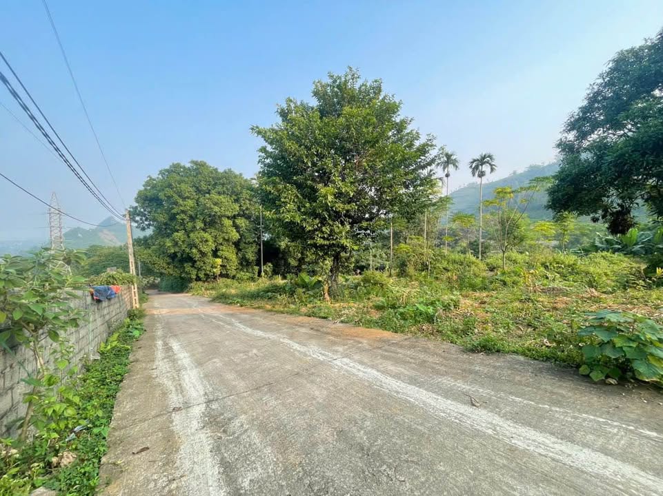 Đất nền nghỉ dưỡng Lương Sơn Hòa Bình 2700m² giá 6 tỷ - Đầu tư hấp dẫn!