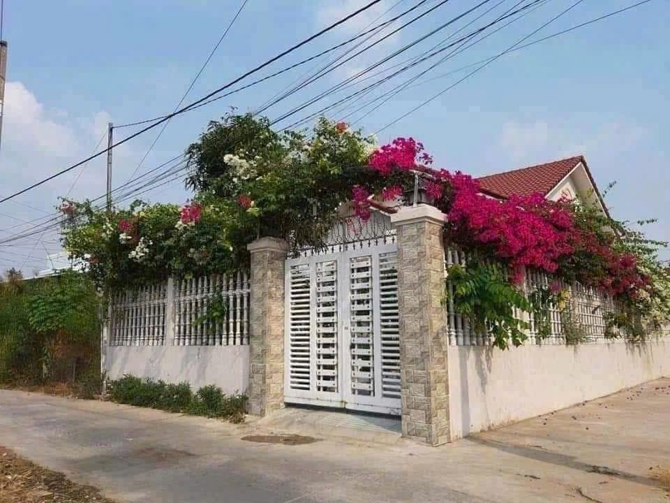 Nhà mặt tiền hẻm thông Bình Phú, Bến Tre 3 phòng ngủ - Chỉ 6 triệu/tháng!